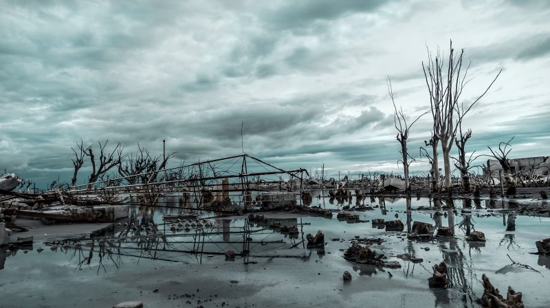 Natural Disaster Response