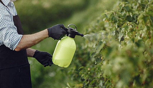 Liquid fertilizers